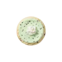 Mint mocha ice cream cookie